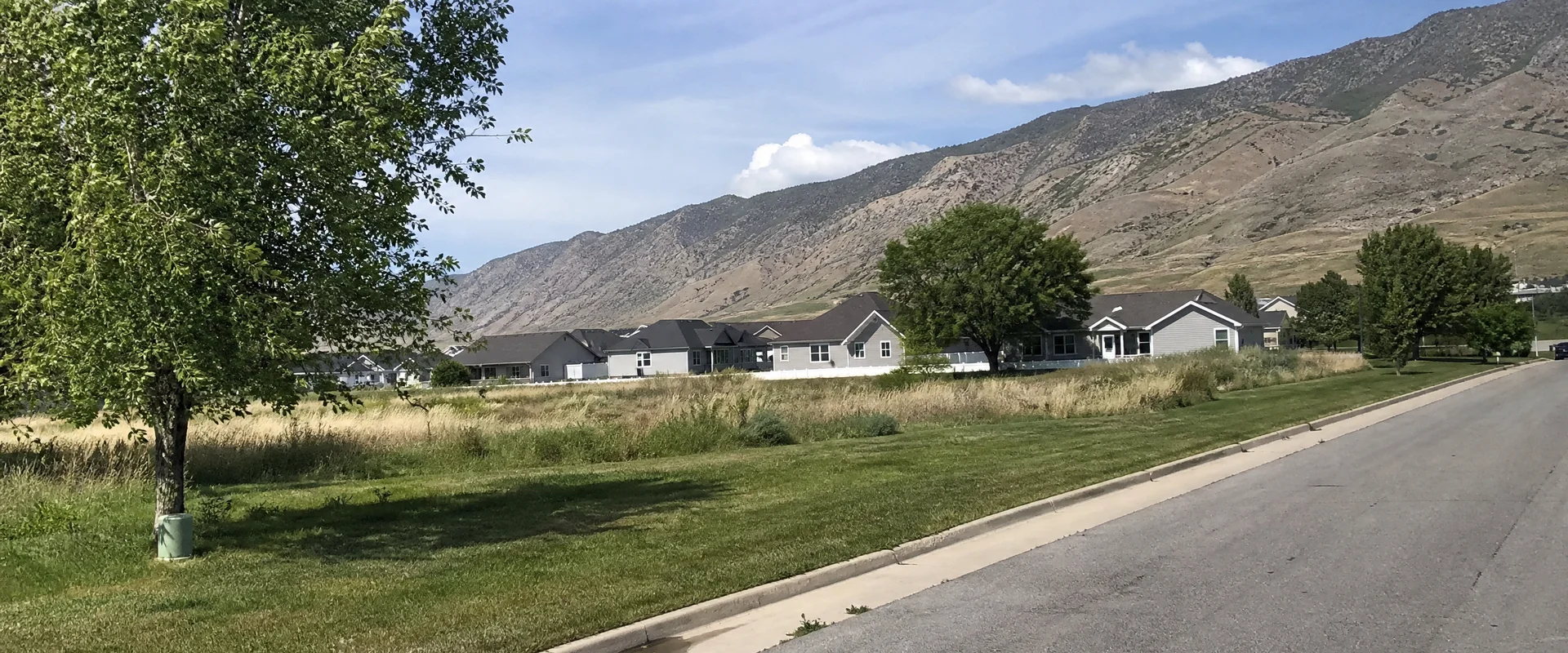 Utah valley neighbourhoods with irrigated green yards and mountains in the background