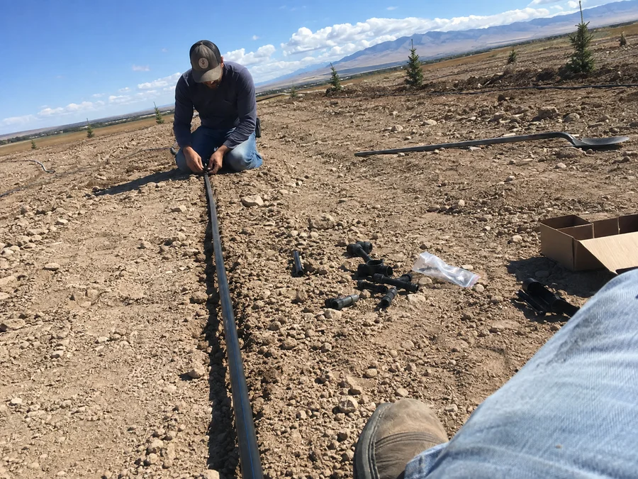 Crew laying poly drip tubing across a newly cleared Utah planting bed