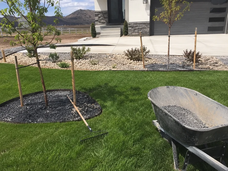 Finished new-construction front yard with lawn, young trees, edging and gravel beds