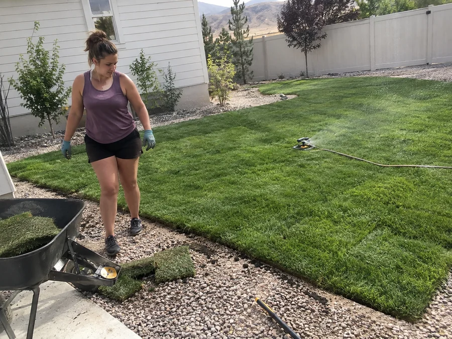 Finished green sod lawn being watered in for the first time