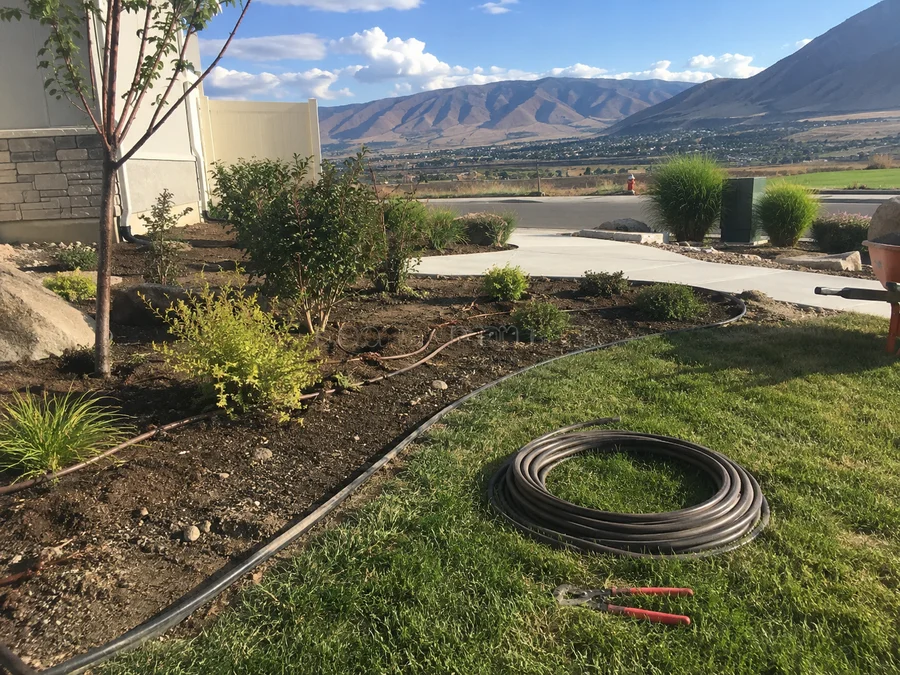 Front yard mid-conversion with half the lawn removed and new drip-irrigated beds going in