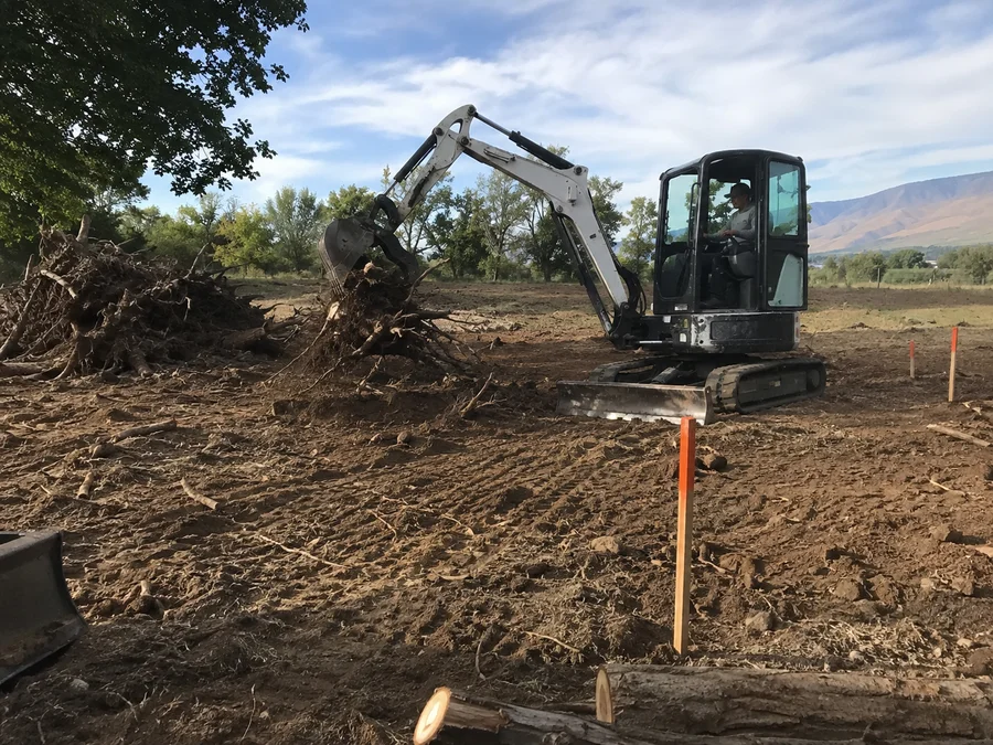 Mini excavator pulling out root balls and scrub on an acreage lot