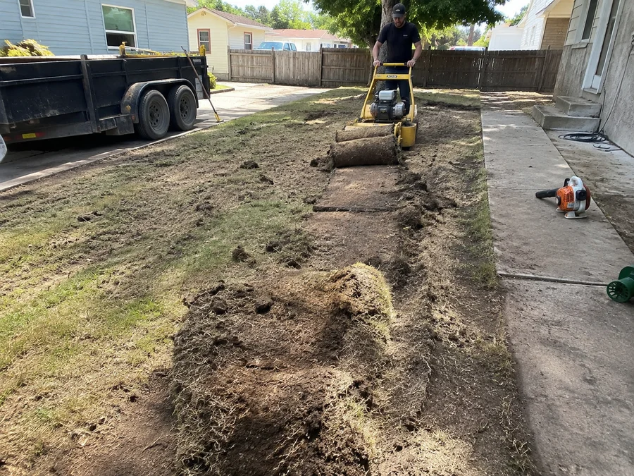 Old dead lawn being cut and rolled for removal with a sod cutter