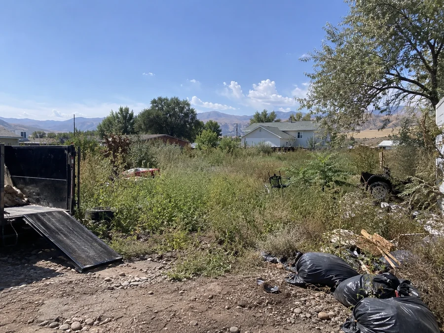 Overgrown rural Utah lot before clearing, with dense brush and scattered debris