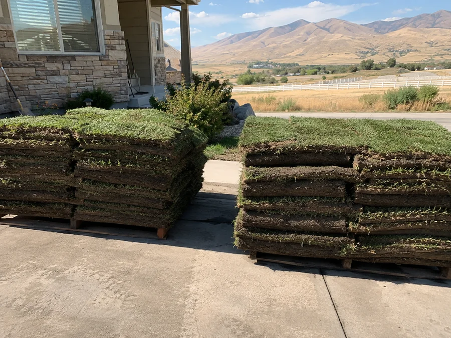 Pallets of fresh Kentucky bluegrass sod staged on a driveway ready to lay