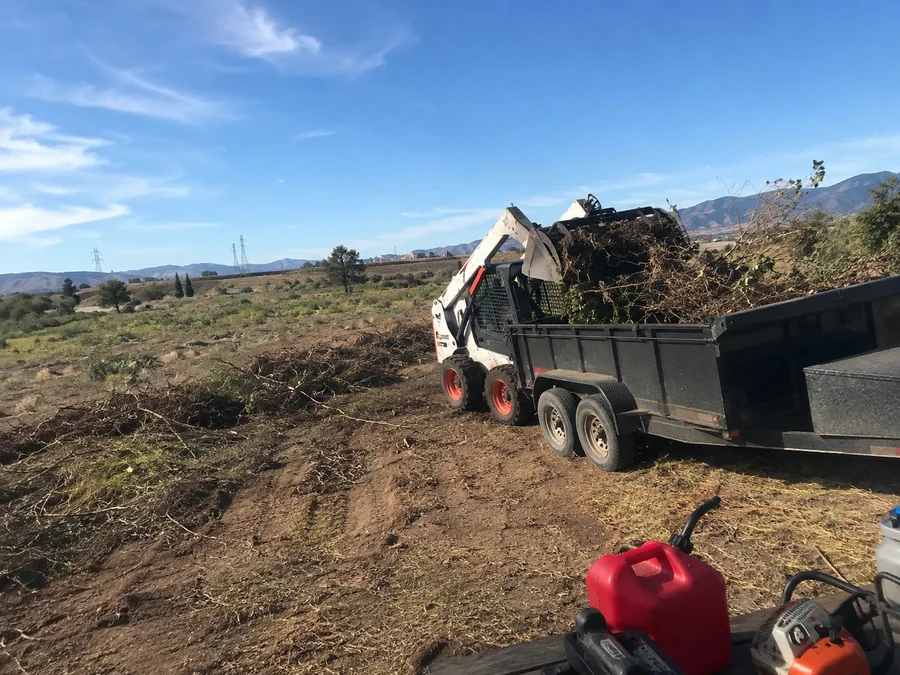 Skid steer loading cleared brush and debris into a dump trailer