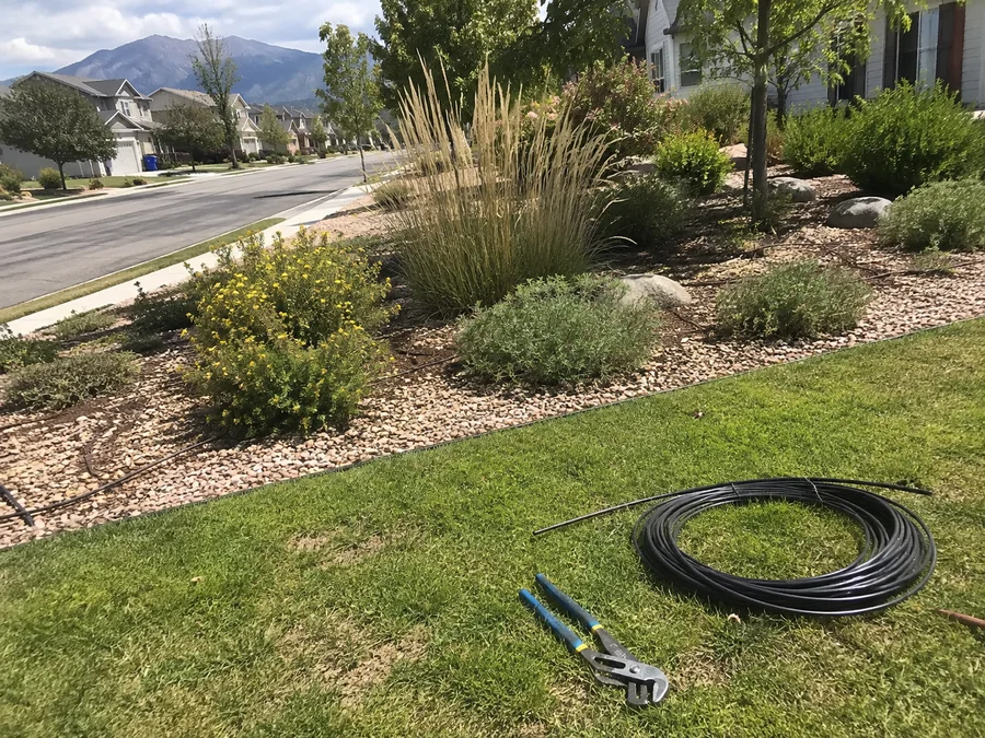Water-wise Localscapes-style park strip with gravel, drought-tolerant plants and drip tubing